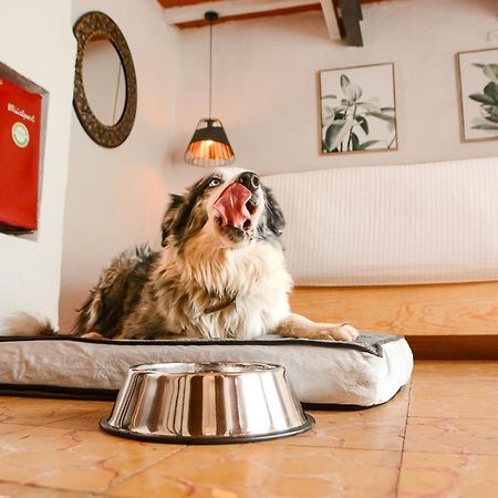 Petit Meson Hotel Valle de Bravo Ngoại thất bức ảnh